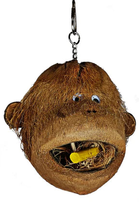 Coco Monkey Head for Birds