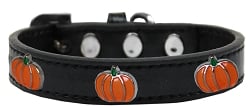 Pumpkin Dog or Cat Collar