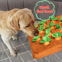 Load image into Gallery viewer, Pet Plush Food Puzzle Toys
