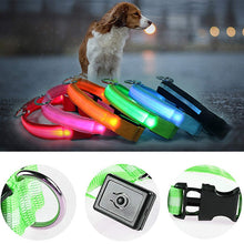 Load image into Gallery viewer, Adjustable LED Pet Collar
