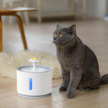 Load image into Gallery viewer, Pet Drinking Fountain Dispenser
