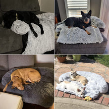 Load image into Gallery viewer, Pet Dog Bed Cushion
