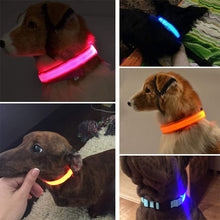 Load image into Gallery viewer, Adjustable LED Pet Collar
