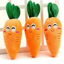 Load image into Gallery viewer, Carrot Pet Toy
