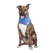 Load image into Gallery viewer, Dog Cooling Bandana
