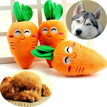 Load image into Gallery viewer, Carrot Pet Toy
