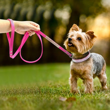 Load image into Gallery viewer, Rhinestone Pet Collar
