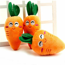 Load image into Gallery viewer, Carrot Pet Toy
