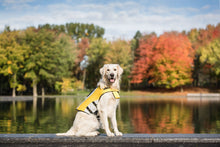 Load image into Gallery viewer, Dog Life Vest Jacket
