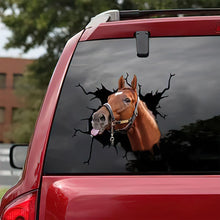 Load image into Gallery viewer, Horse Car Window Sticker
